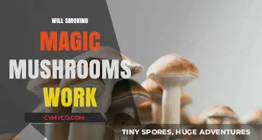Exploring the Effects: Can Smoking Magic Mushrooms Produce a Trip?