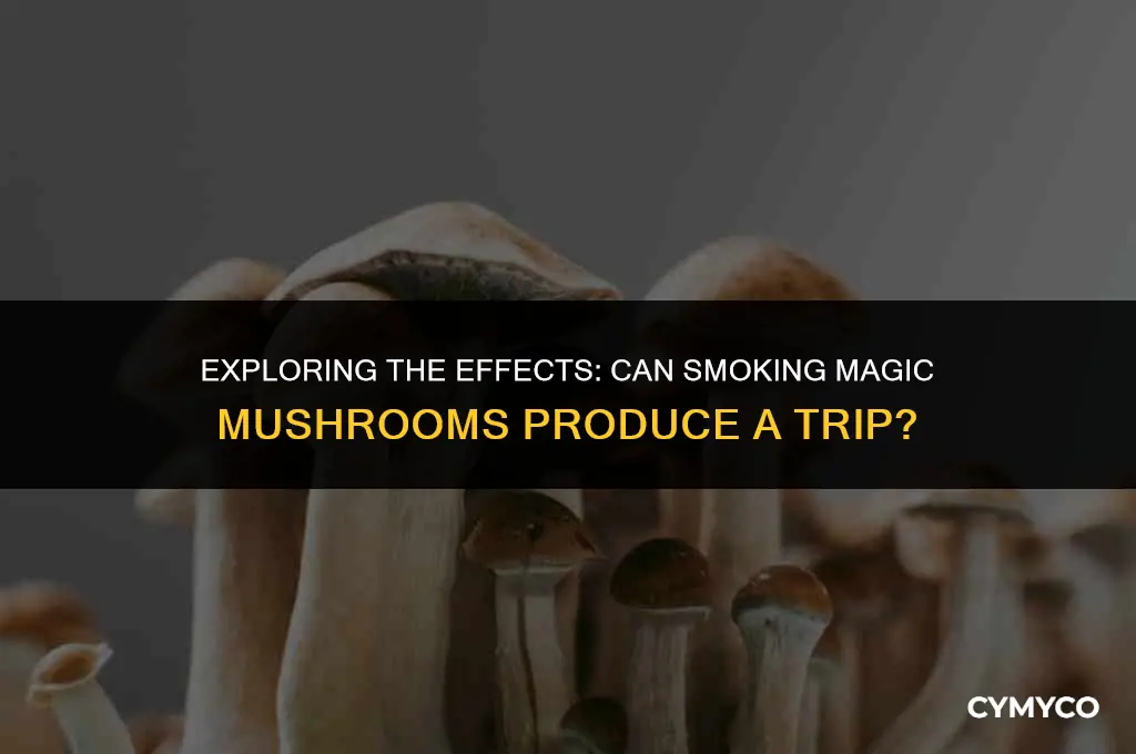 will smoking magic mushrooms work